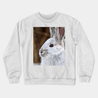 Snowshoe Hare Crewneck Sweatshirt